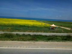 -德禄酸奶(莫家街店)