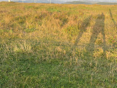 -龙里油画大草原旅游区