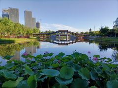 -西海子公园