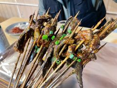 鳝鱼-晓靖轩烧烤(沙河风情店)