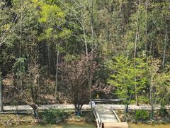 -冶父山国家森林公园