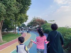 -贡湖湾湿地公园