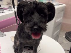 -FAELING PETS美天灵宠物(富力广场店)