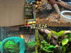 -大族广场Mall&More