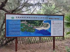 -北海金海湾红树林生态旅游区