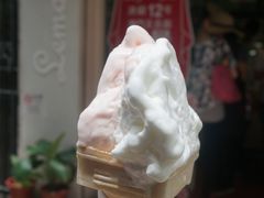 -柠檬车露(卖草地店)