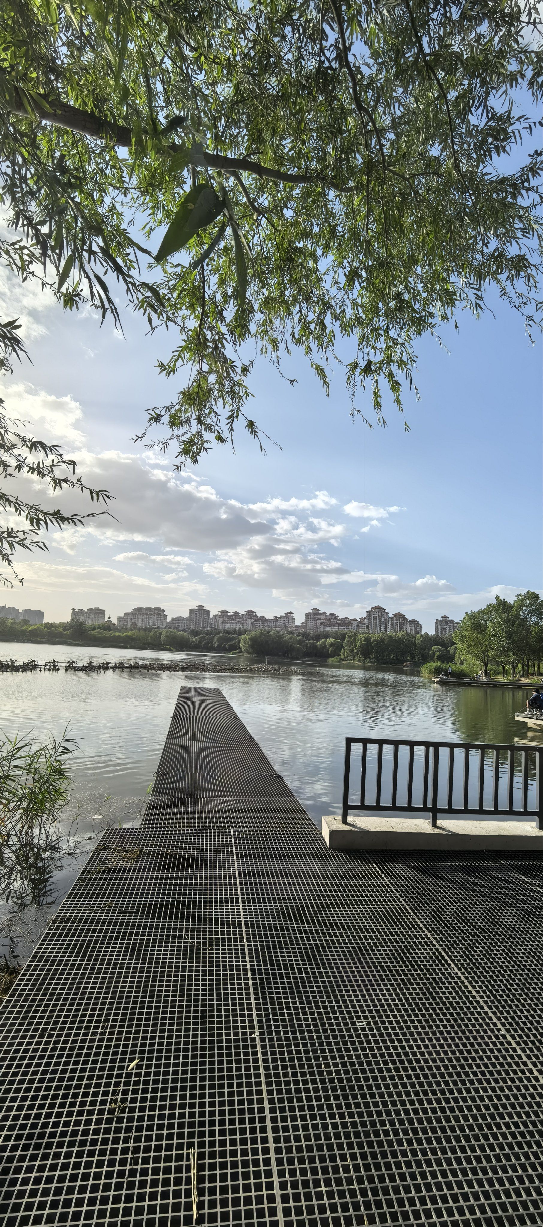 这是马家湾湿地公园