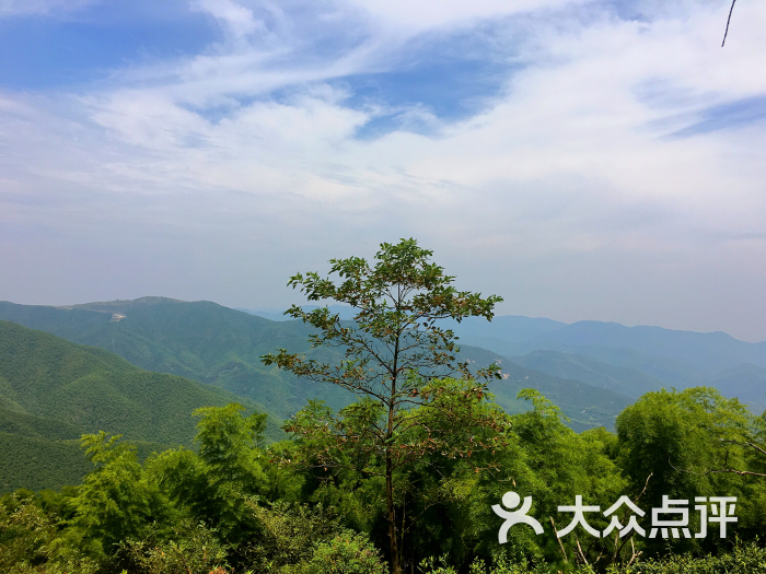 莫干山風景區圖片 - 第7張