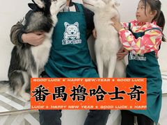 -星多哈·狗咖·拼豆·咖啡