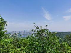 -桃花岭景区