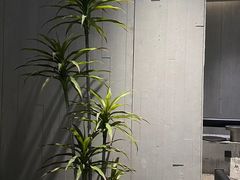 -M Stand(上海人民广场来福士店)