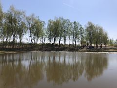 -东郊湿地公园