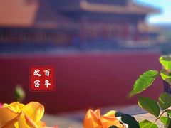 -故宫博物院(故宫)