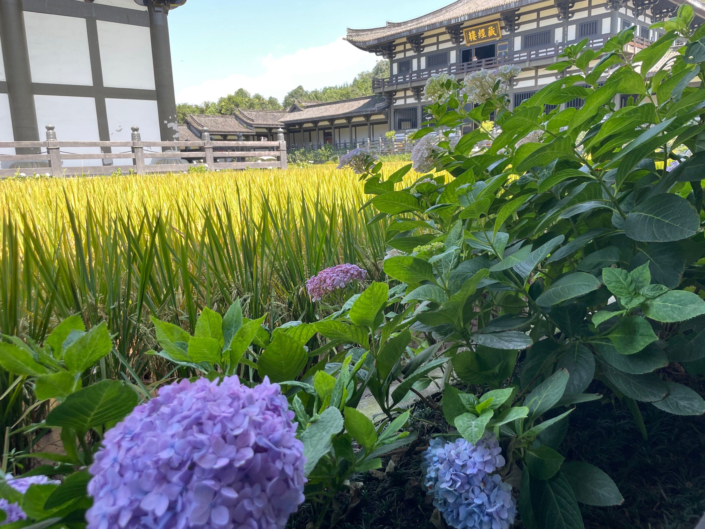 洪雅县光明寺