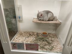 -龙猫仔乐园(惠福东路店)