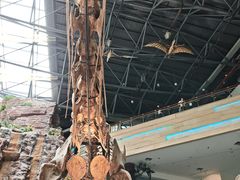 -安徽省地质博物馆