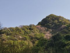-西安祥峪森林公园
