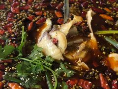 -乡土特色.冷锅鱼.牦牛肉汤锅