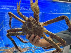 -都市阳光海鲜城(青山湖店)