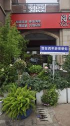 -阅年轻·AI家庭健康体质调理