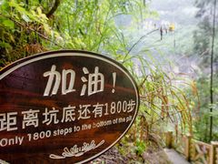 -小寨天坑