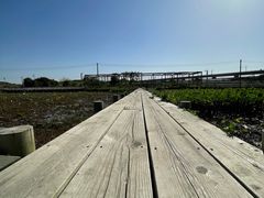 -光明小镇欢乐田园