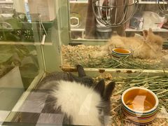 -龙猫仔乐园(惠福东路店)