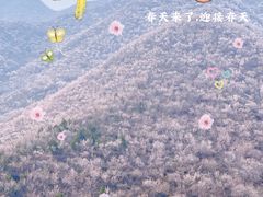 -姥家大锅台(凤凰岭店)