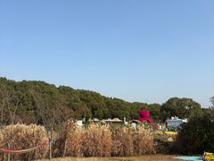 -嘉北郊野公园