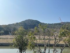 -上海佘山国家森林公园天马山园