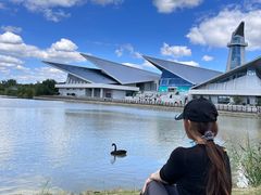 -盐城丹顶鹤湿地生态旅游区