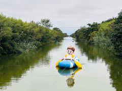 -黄海国家森林公园