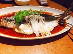 -宁波柏悦酒店·钱湖渔港