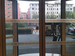 -上海神旺大酒店