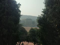 -武汉大学-樱园