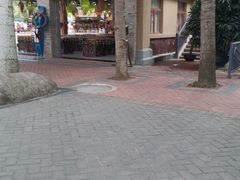 -呀诺达热带雨林