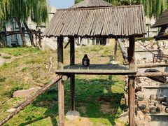 -石家庄市动物园