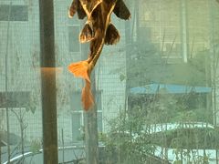 -衡山汇·高级粤菜(霄云路店)