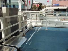 -丹东路渡口(轮渡站)