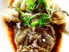 清蒸老虎石斑鱼-范饭椰林川湘味海鲜·椰子鸡(三亚湾椰梦长廊店)