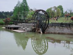 -铁山坪森林公园