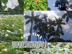 -烈士陵园(地铁站)