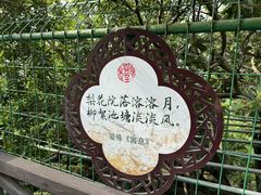 -树山生态村