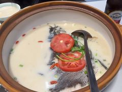 -全乐鱼馆·淳牌有机鱼直营店