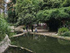 -成都市活水公园