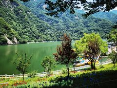 -秦岭终南山世界地质公园翠华山景区