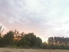 -东郊湿地公园