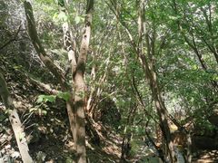 -野三坡清泉山风景区