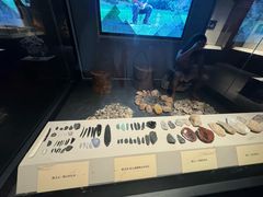 -河套人（鄂尔多斯人）遗址文物陈列室