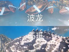 -东极岛海鲜
